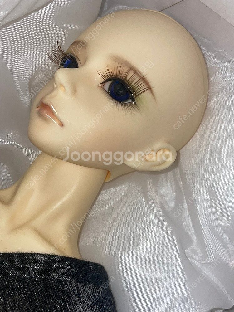구체관절인형 bjd crobi 니아 중고판매--0