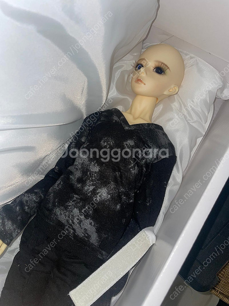 구체관절인형 bjd crobi 니아 중고판매--3