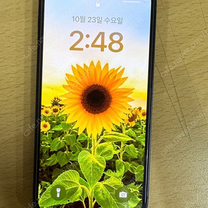 아이폰 13미니 256
