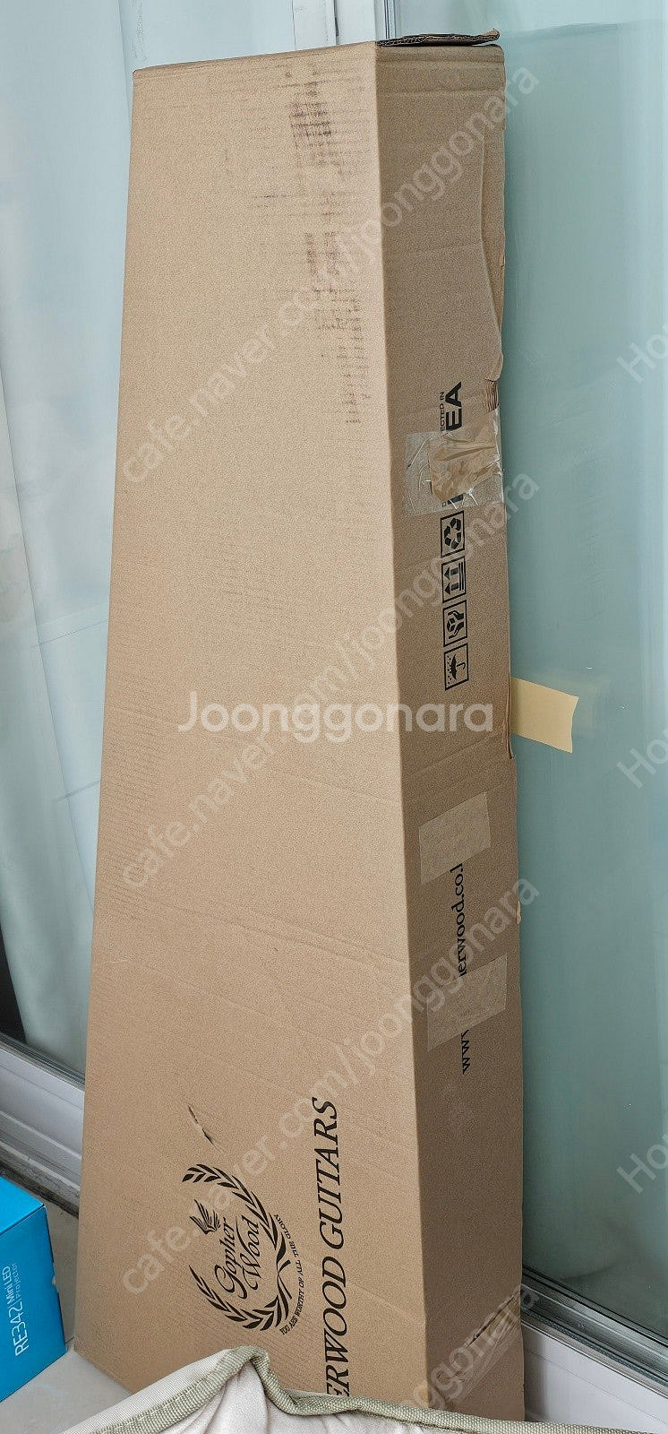 고퍼우드 베이스 기타 J-Classic 6 600B 2...--2