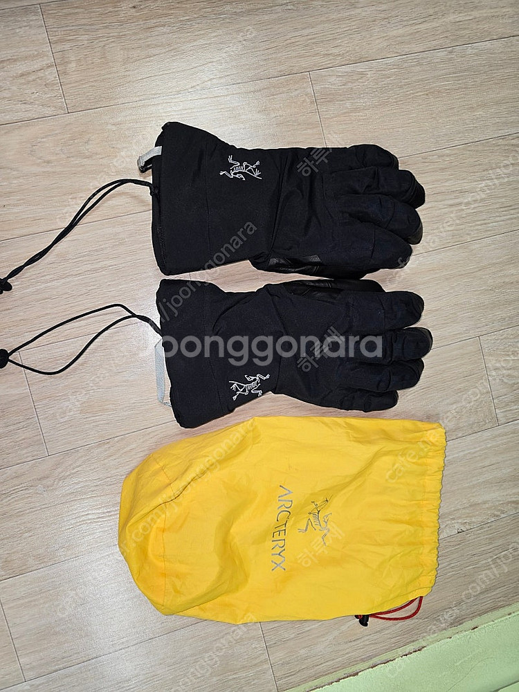 아크테릭스 베타ar 글로브--0
