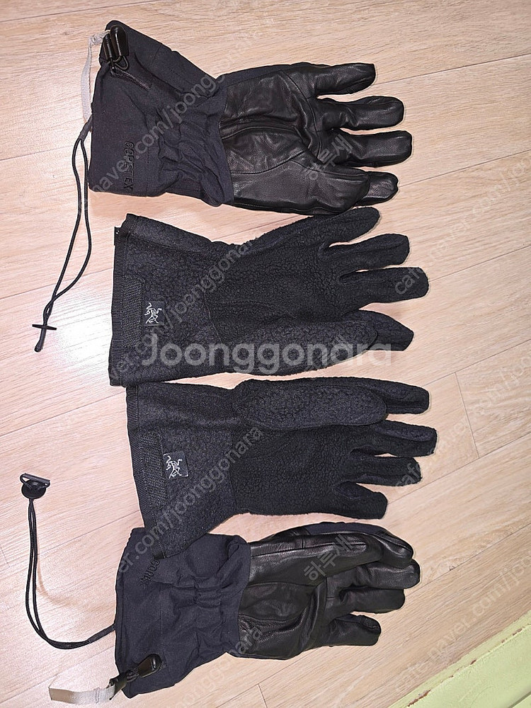 아크테릭스 베타ar 글로브--2