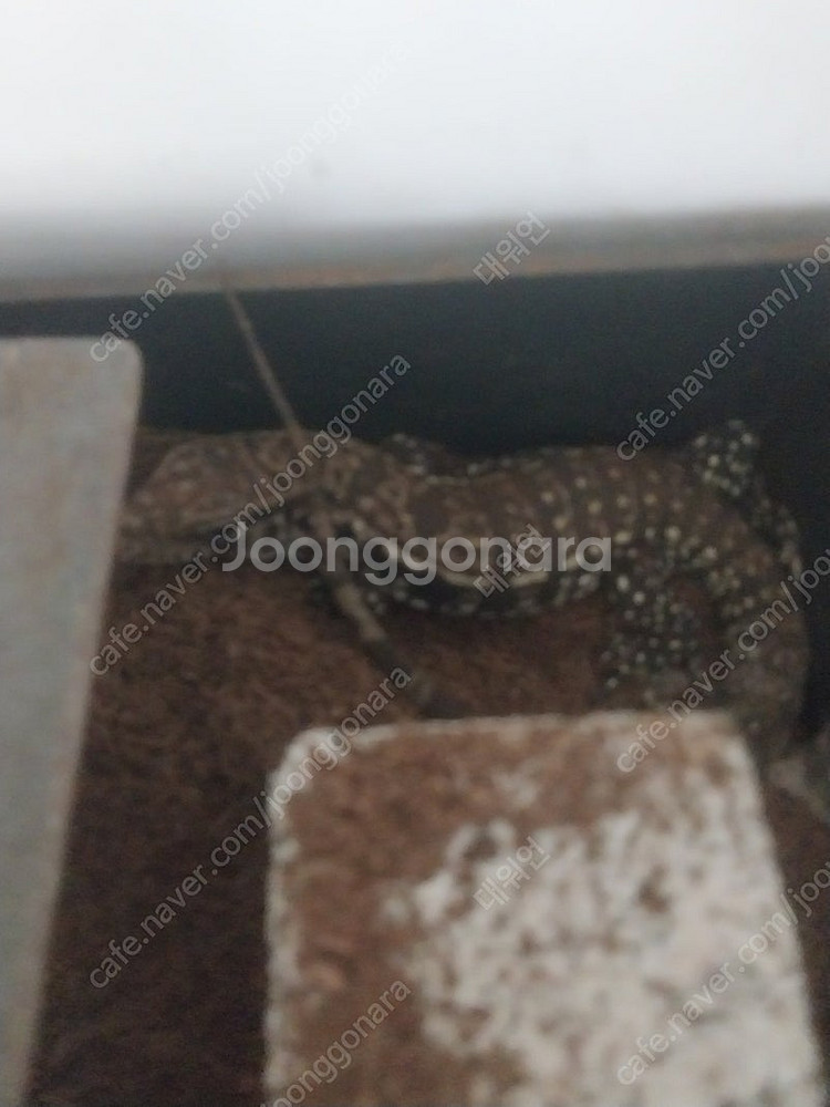 문화상품권 5만원 컬쳐랜드--0