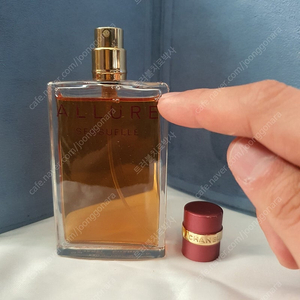 샤넬 알뤼르 센슈얼 EDP50ml 향수 (40)