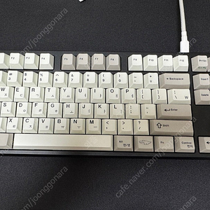 FROG TKL / 상구리 베놈빌드 블랙 색상 팝니다.