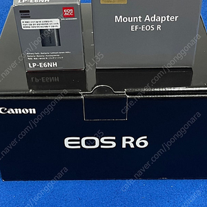 캐논 EOS R6 바디(풀박스, 3400컷) / 마운트 어댑터 EF EOS R / 배터리 LP-E6NH