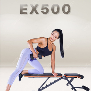 이고진 각도 조절 인클라인벤치 EX500