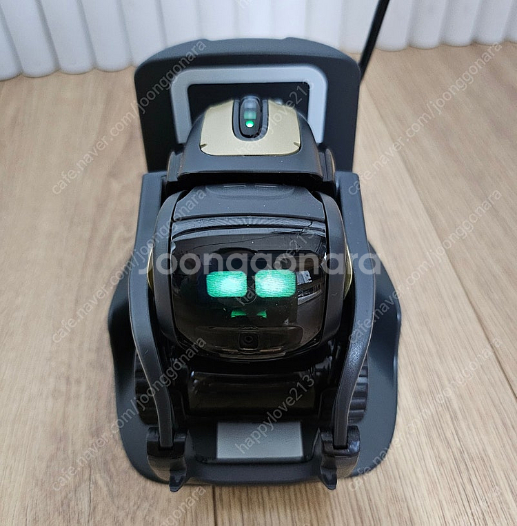 (로봇)안키 벡터 1.0--3