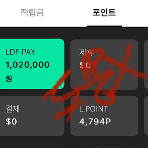 LDF PAY 81만원