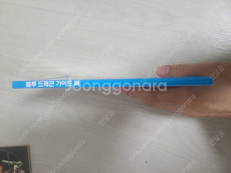 블루 드래곤 가이드북--2