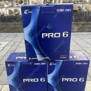 PRO 6 안전벨트 3set