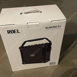 Roel 버스킹 앰프 DJ