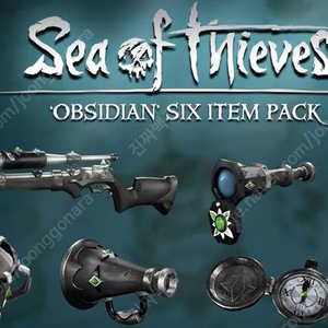 씨오브시브즈 옵시디언 6팩 Sea of Thieves Obsidian 6 Pack