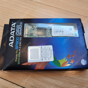 ADATA M.2 SSD 256GB (Premier Pro SP900 256GB Type2280)