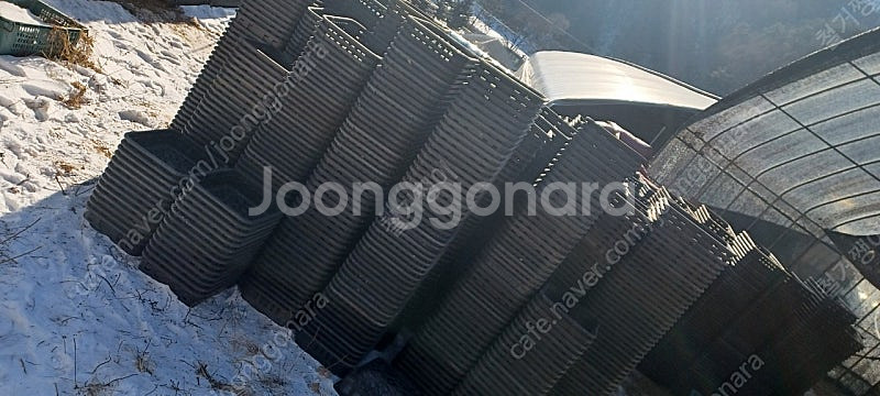 버섯 콘티박스 사각상자 사각박스 프라스틱 플라스틱 상자...--1