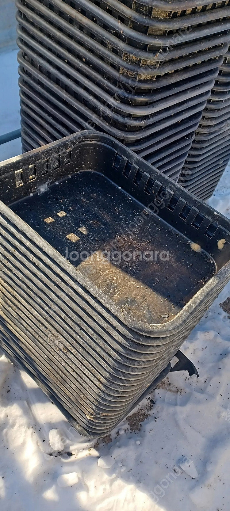 버섯 콘티박스 사각상자 사각박스 프라스틱 플라스틱 상자...--4