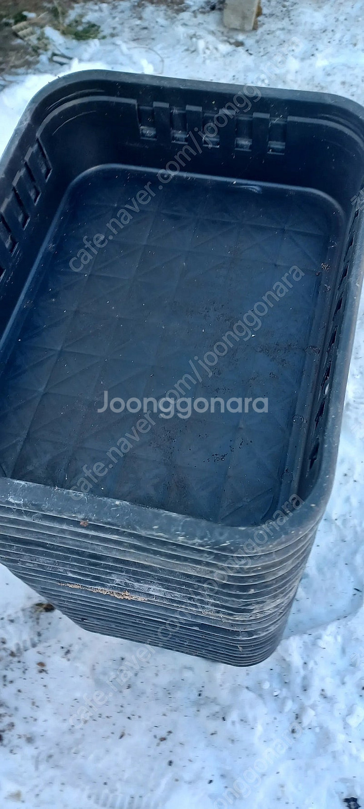 버섯 콘티박스 사각상자 사각박스 프라스틱 플라스틱 상자...--5