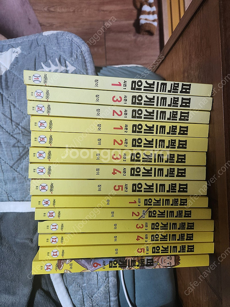퍼펙트게임 웹툰--0