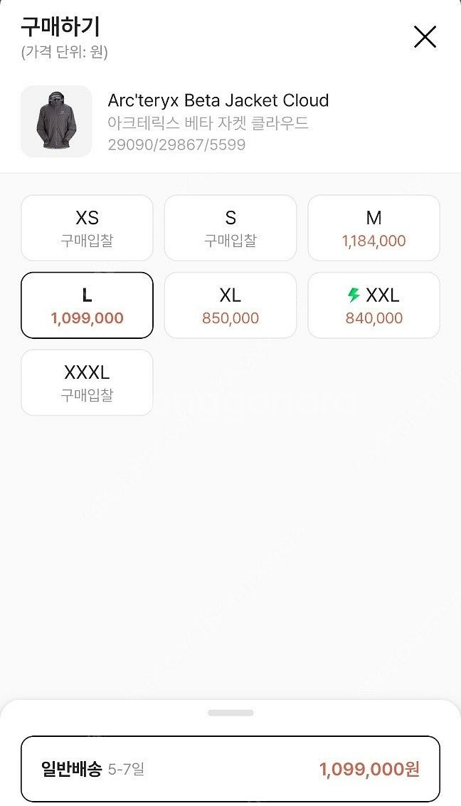 아크테릭스 베타 자켓 클라우드 L--3