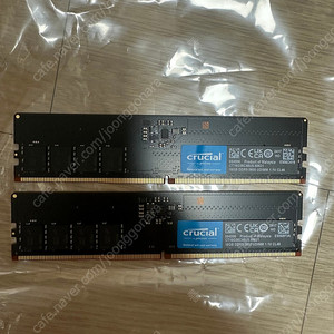 마이크론 Crucial DDR5-5600 CL46 32gb