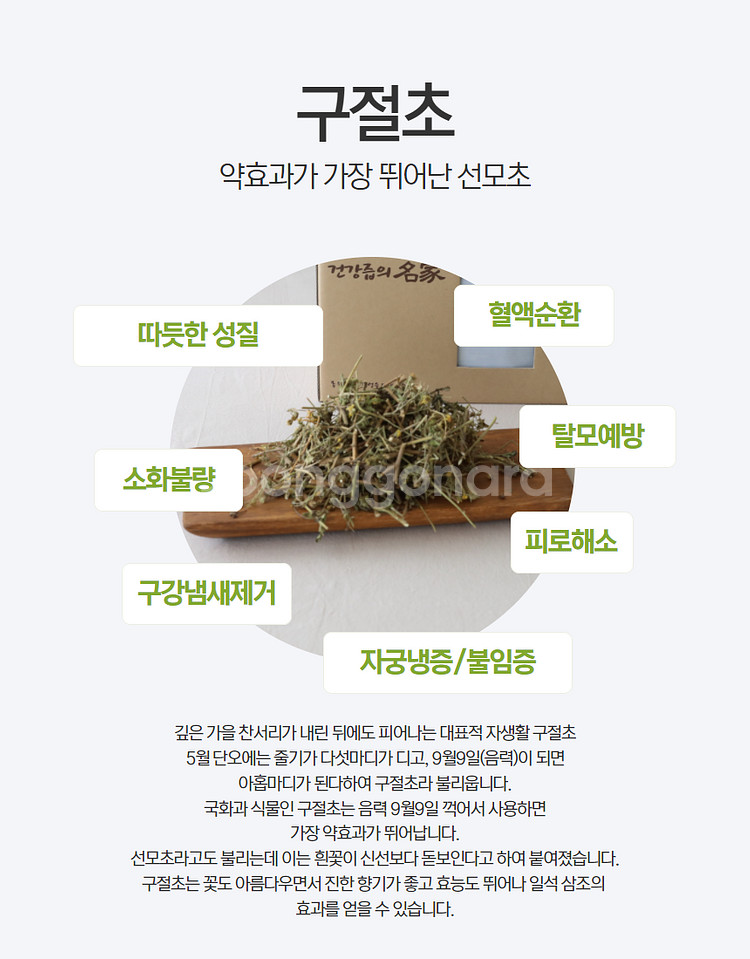 100%자연산 구절초진액 / 진한 구절초즙/ 야생구절초...--8