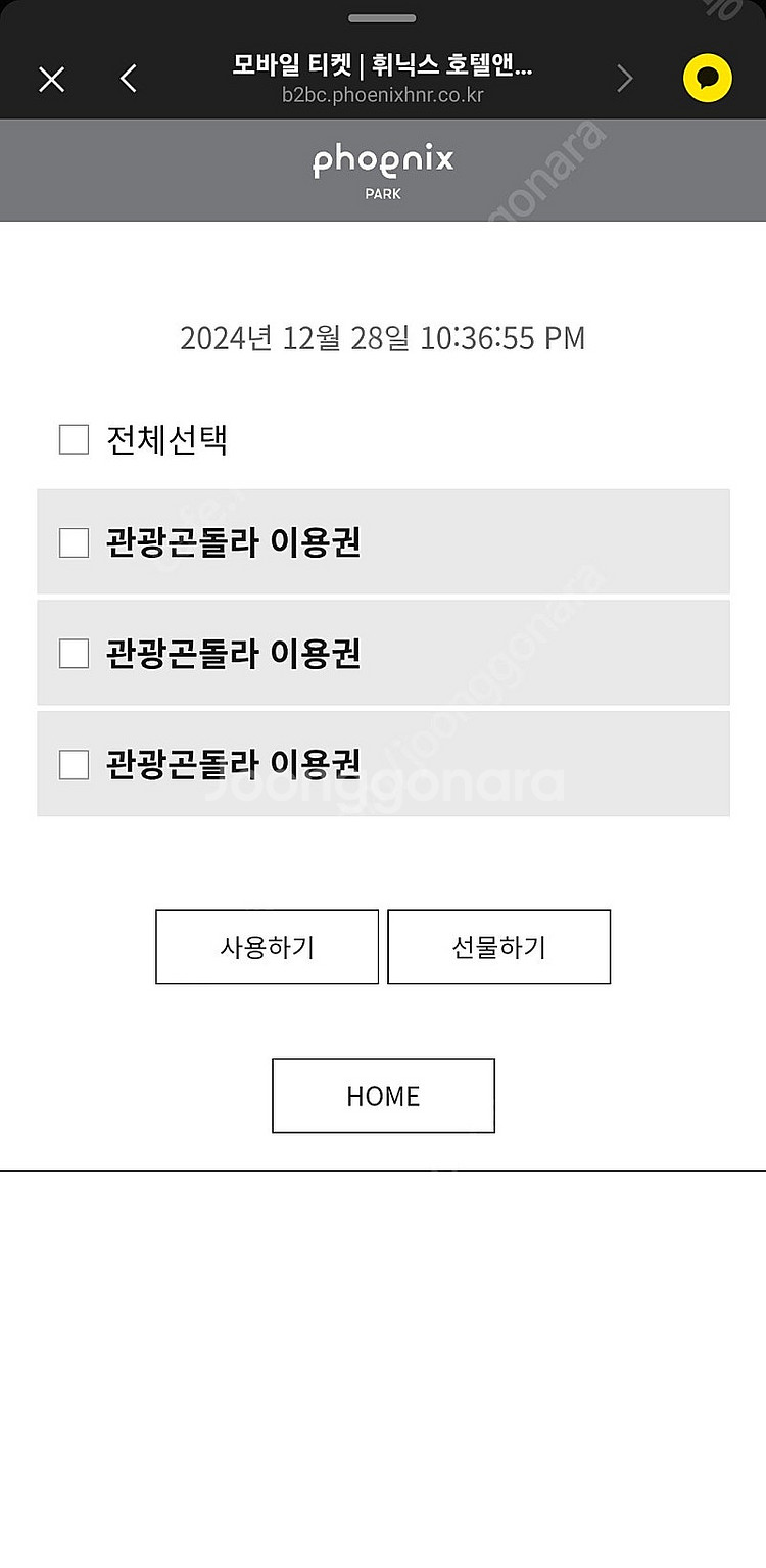 휘닉스파크 평창 곤돌라 3인 15000 29.30이용권--0