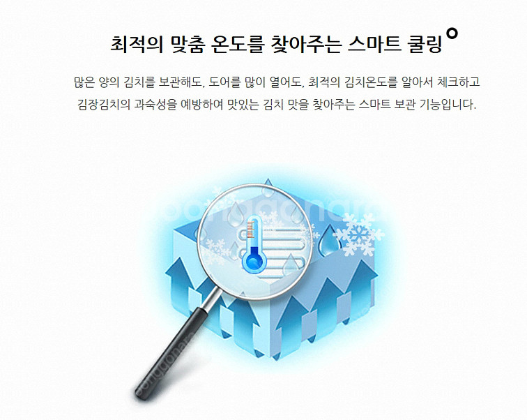 딤채 대용량 김치냉장고 551L--6