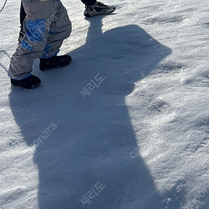 앤트월드, 비발디파크 조식권 삽니다