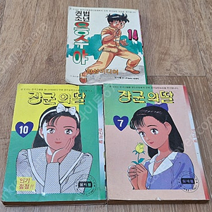 포켓북만화3권 ( 장군의딸,용수야)