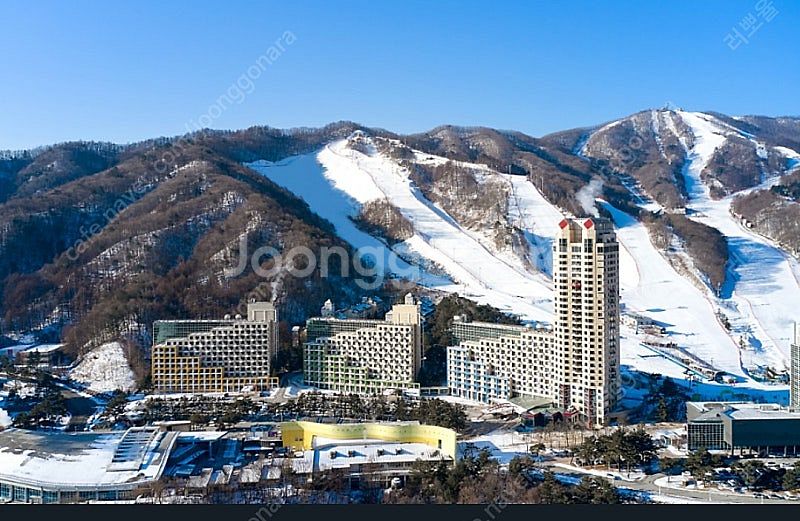 양도)휘닉스파크--0