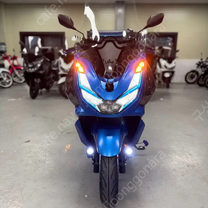 pcx125 abs 익실 정품 머풀러 구변완료!!