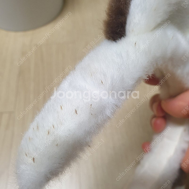 에버랜드 머리띠--4