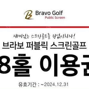 브라보스크린 4장 2만원