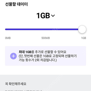 sk 데이터 2기가