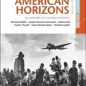 American Horizons: U.S. History in a Global Context, Volume II: Since 1865