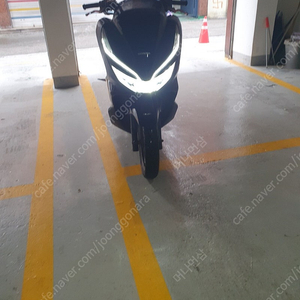 pcx 125cc 20년식 130만원에 판매합니다.