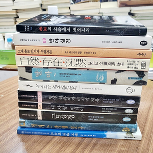 오쇼라즈니쉬 책 11권 분양