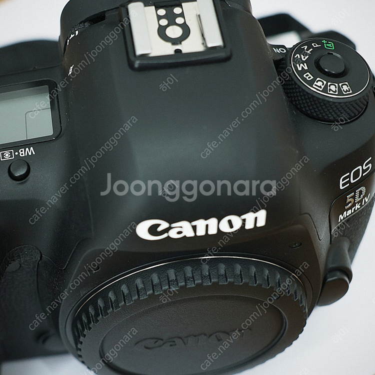 캐논 5d mark4--4