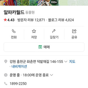 알파카월드 2인 25000원