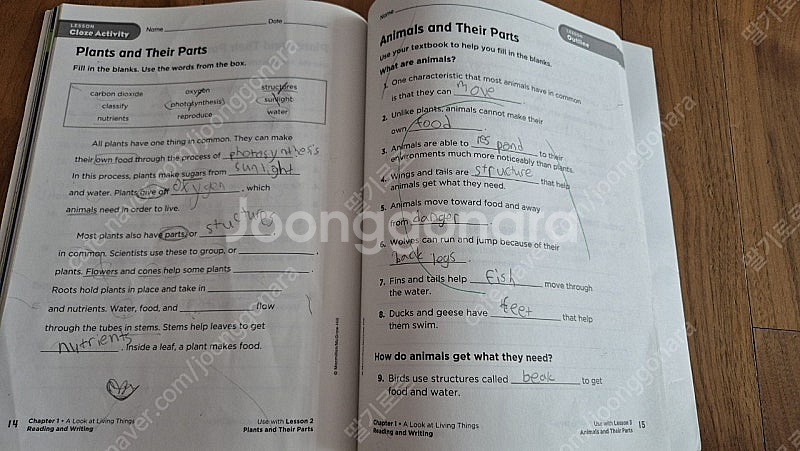 A CLOSER LOOK UNIT A LIVING YH...--2