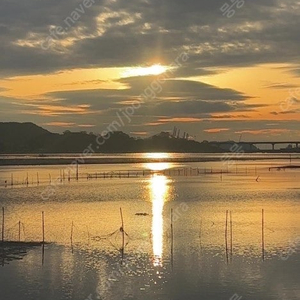 신세계 백화점 소액 영수증