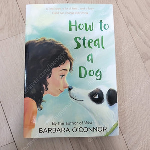 How to Steal a Dog 영어 원서