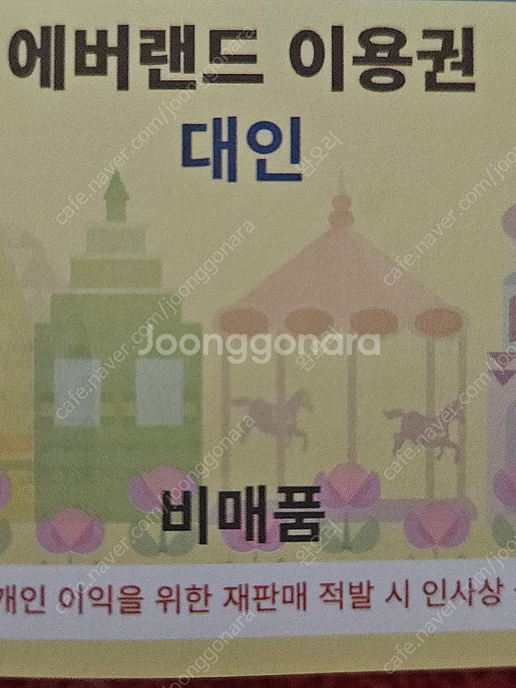 오늘 12.31까지 사용 가능한 에버랜드 자유이용권 1...--0