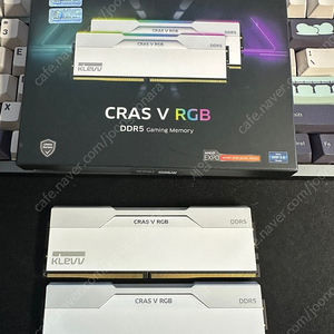 [20만원/48GB]ESSENCORE KLEVV DDR5-6000 CL30 CRAS V RGB WHITE 패키지 서린 (48GB(24Gx2))