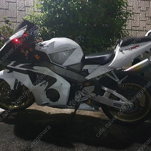 cbr954rr 문제 없는 차량 판매중