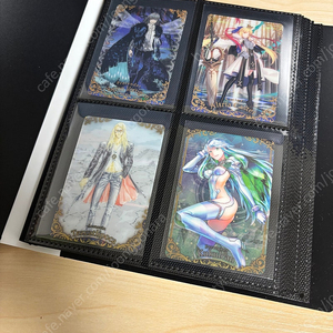 페그오 웨하스 카드 + 바인더 일괄 택비포 3.5에 판매합니다