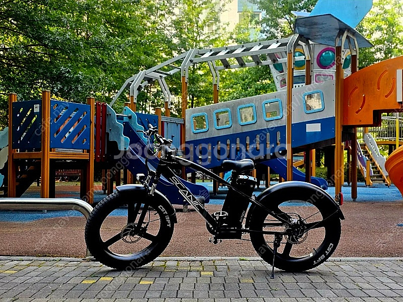 AU 테크 전기 MTB 자전거 F100 48V--9