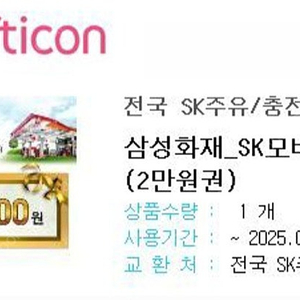 sk 주유 2만원권