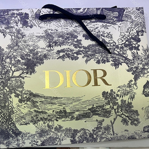 디올(Dior) 오블리크 리버서블 몽테인 벨트 양면