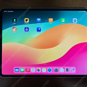 아이패드 프로 M4 13인치 1TB 셀룰러(애케플, 펜슬 프로)